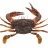 ID please on Crab